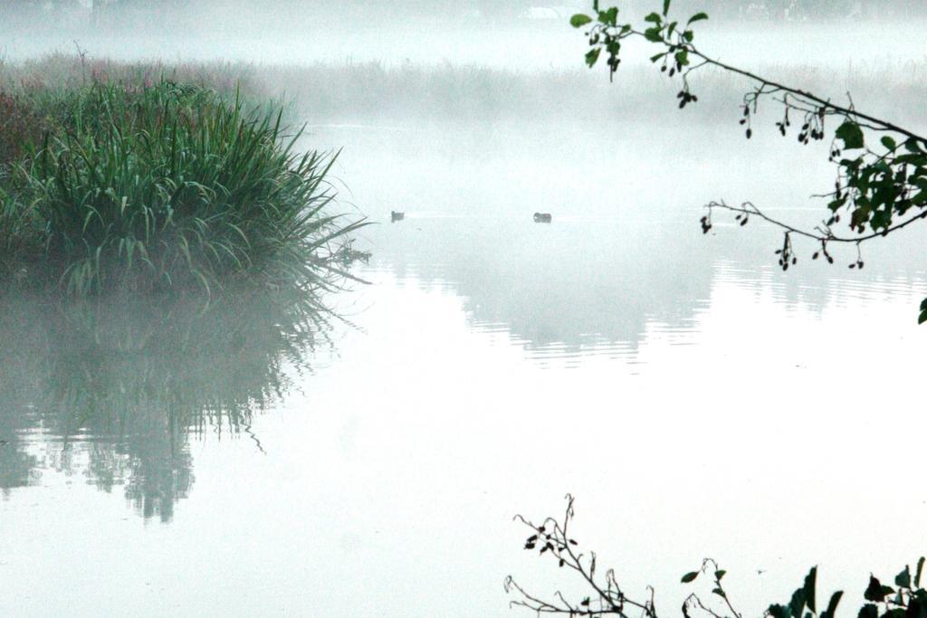 Gites Chambres D'Hotes Entre Terre & Mer Souvigny-en-Sologne Zewnętrze zdjęcie